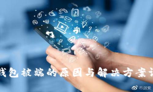 TP钱包被端的原因与解决方案详解
