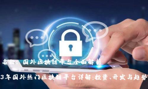产品名称: 国外区块链平台全面解析

2023年国外热门区块链平台详解：投资、开发与趋势分析