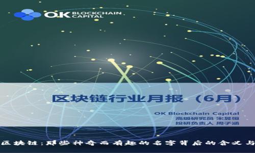 探秘区块链：那些神奇而有趣的名字背后的含义与故事