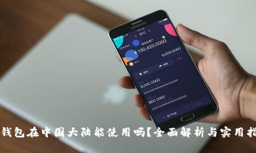TP钱包在中国大陆能使用吗？全面解析与实用指南