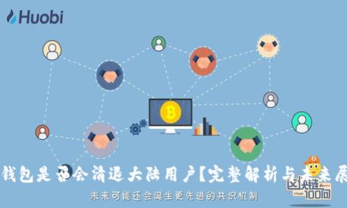 TP钱包是否会清退大陆用户？完整解析与未来展望