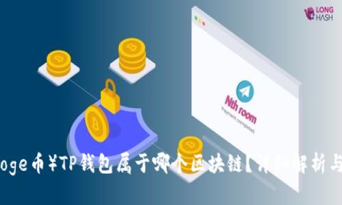 狗狗币（Doge币）TP钱包属于哪个区块链？详细解析与使用指南