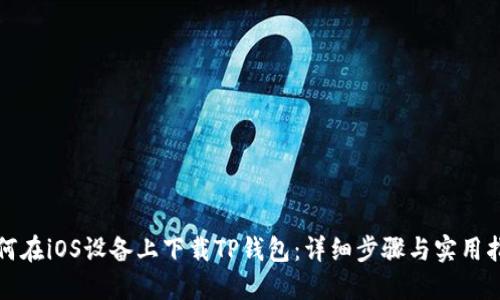 如何在iOS设备上下载TP钱包：详细步骤与实用指南