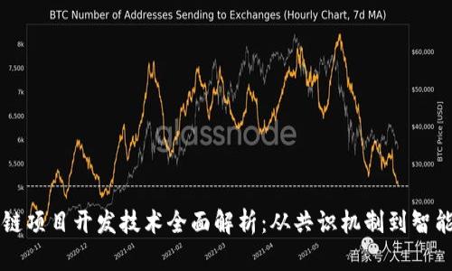 区块链项目开发技术全面解析：从共识机制到智能合约