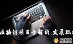 2023年张掖区块链项目全解析：发展现状与未来前