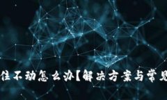 TP钱包卡住不动怎么办？解决方案与常见问题分析