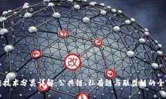 区块链技术分类详解：公共链、私有链与联盟链