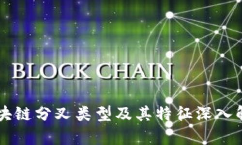 区块链分叉类型及其特征深入解析