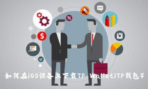 如何在iOS设备上下载TP Wallet（TP钱包）
