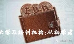 2023年推荐的区块链大学及培训机构：从初学者到