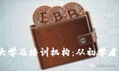 2023年推荐的区块链大学及培训机构：从初学者到专家的深度学习之路